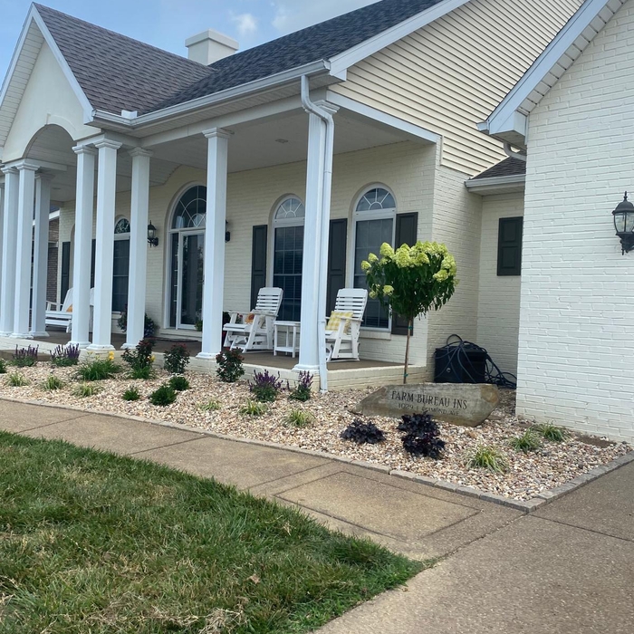 Gravel & new flowers