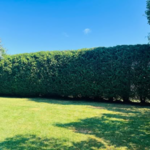 Garden Bed Redesign