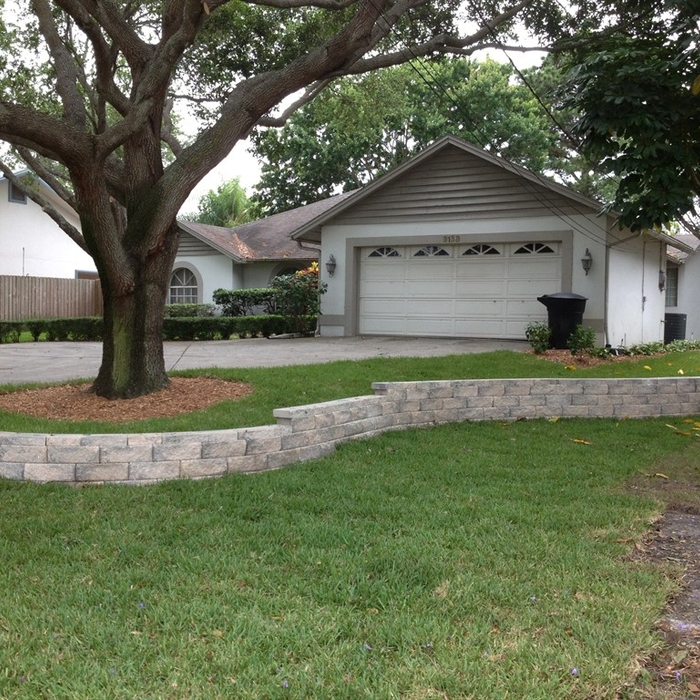 wall