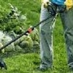 Lawn Maintenance