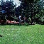 Lawn Care