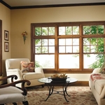 Architect Series - Double Hung Windows