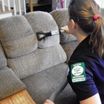 Upholstery Cleaning