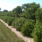 Our work