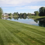 Lawn Care