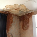 Mold Remediation