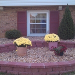 flowerbeds