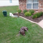 Retaining Wall