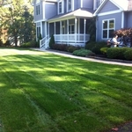 another professionally done lawn