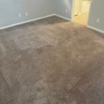 Carpet