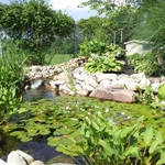 Small Pond