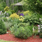 landscapelandscaping services