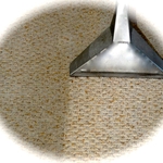 Carpet Cleaning