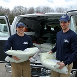 Professional Specialists