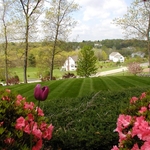 Lawncare and more...