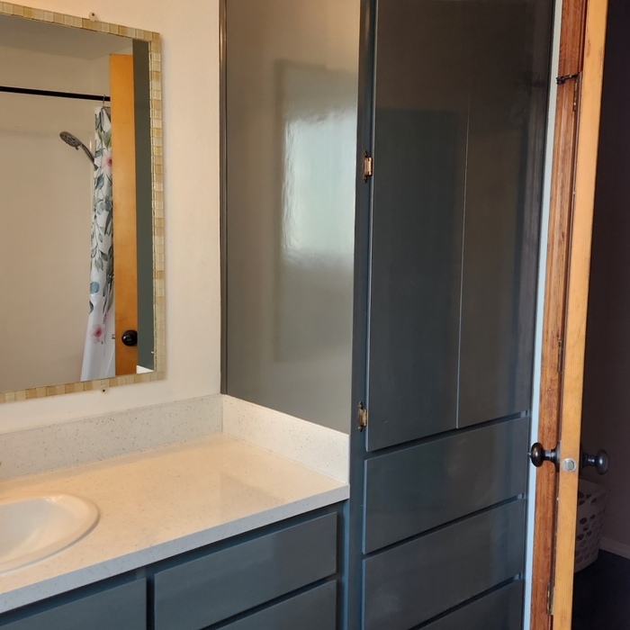 Cabinet and Counter
