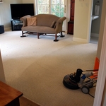 Carpet cleaning