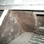Mold in HVAC Coil Compartment