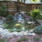 Additional Photos