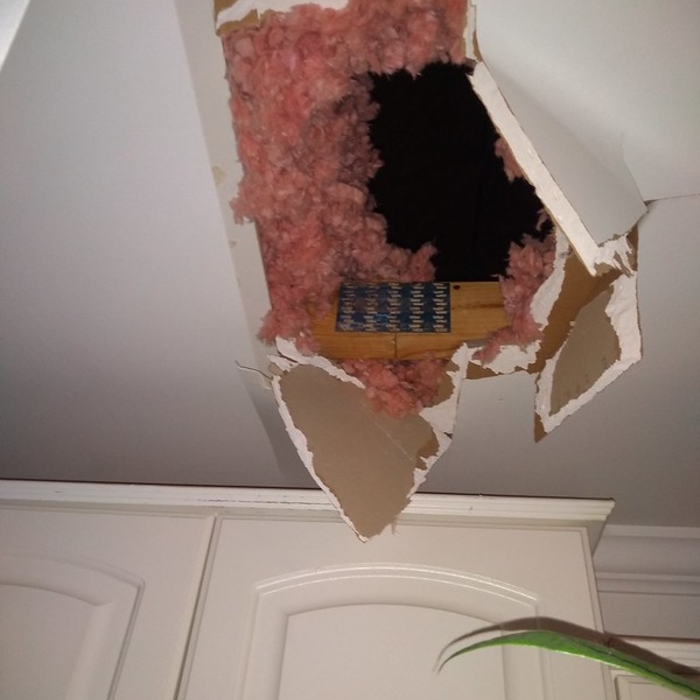 Additional Photos