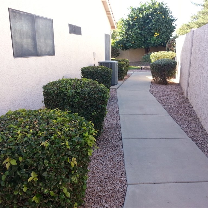 Additional Photos