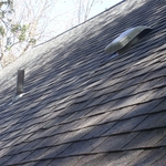 After Moss Removal