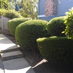 Additional Photos