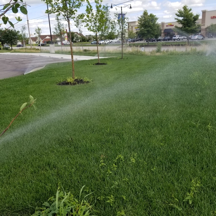 Irrigation Installation