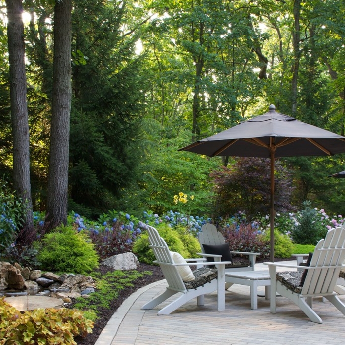 Hydrangea Wonderland
