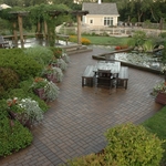 Backyard Patio