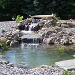Water Oasis