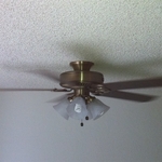 Ceiling Fans
