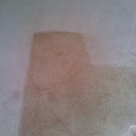 Dirty Carpet