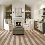 Maple - Misty Forest