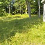 Side/left rear yard