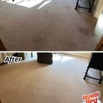 Carpet