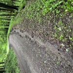 Before Excavation