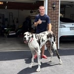 Dog Fencing