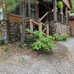 Deck renovations