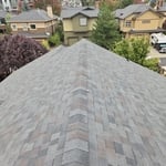 Roof 2