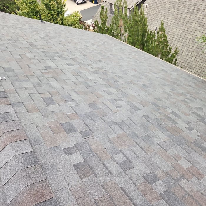 Roof 4