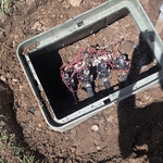 Valve replacement