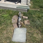 Valve replacement