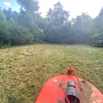 Bush hogging