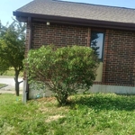 Tree Service Project
