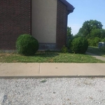Tree Service Project