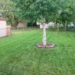 Aeration