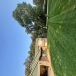 New Lawn