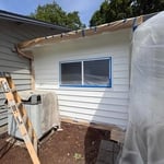 CARSON PAINTING JOB