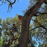 River Rd New Braunfels